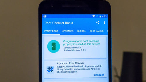 Full Rooting and Installation Service (Pixel Devices ONLY)